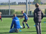 S.K.N.W.K. JO8-1 - M.Z.C. '11 JO8-3 (competitie) 2024-2025 (4e fase) (40/109)